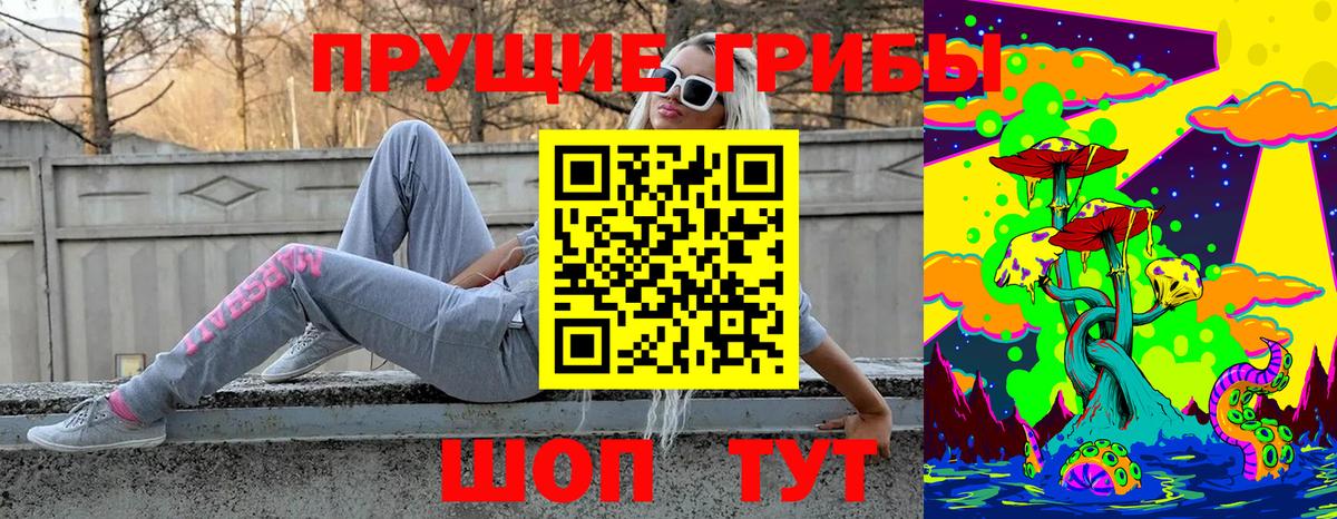 как найти   Псилоцибиновые грибы Magic Shrooms  Вход с VPN  Щёлково 